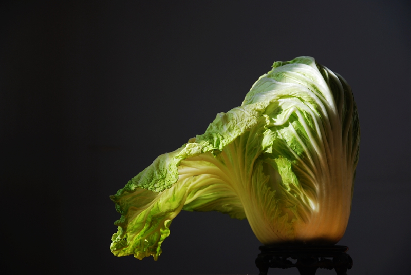 中国摄影静物主题获奖发表作品《白菜》_副本.jpg