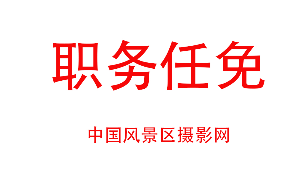 职务任免.jpg