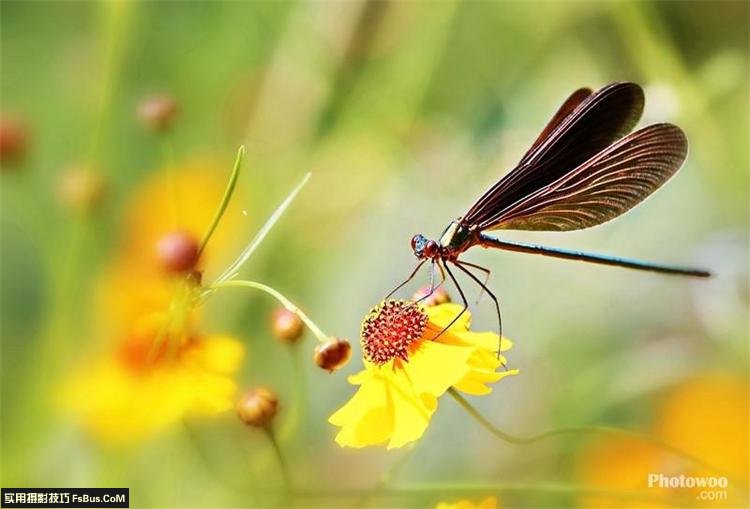 摄影进阶教你巧设光圈快门