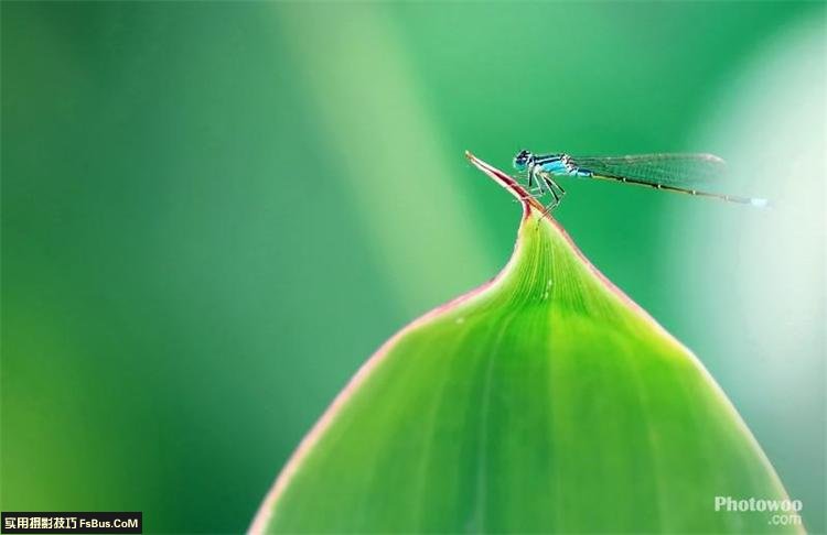 摄影进阶教你巧设光圈快门