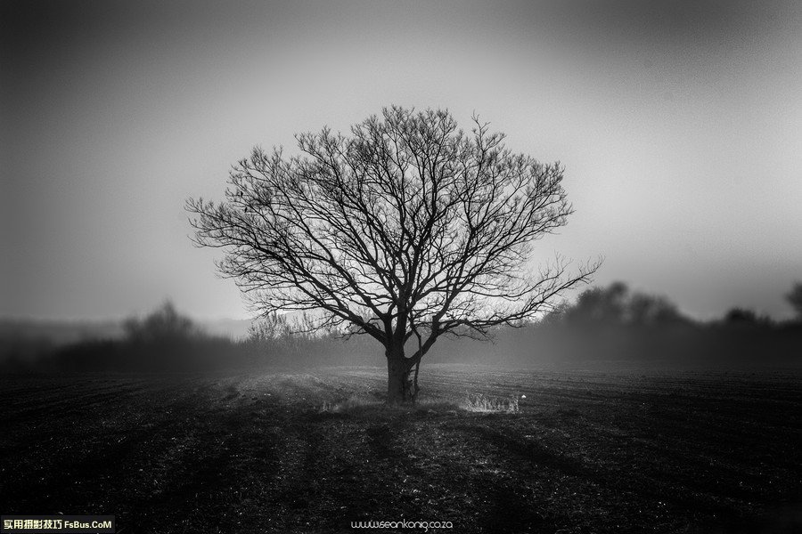 拍出漂亮风景照五个技巧