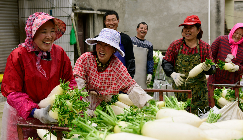 .丰收乐 + 卜寿林 拍13608386136_副本.jpg