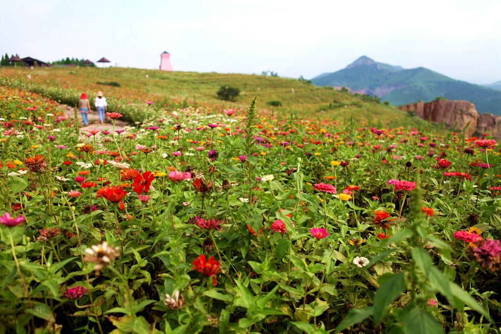 (图文:彭先良,王秀芝,徐汉武,王艳俊)王府荷花窑洞度假区位于青州西南