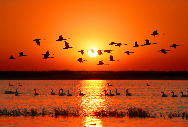 人与自然国际摄影大赛评委公示13胡友文