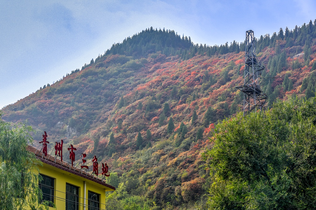 青州杨集三角地村图片